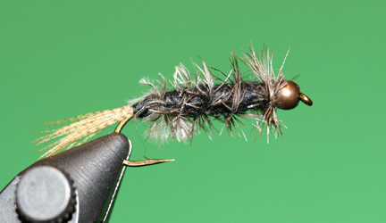 CK Nymph Beadhead