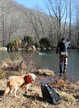 Guided fishing trips