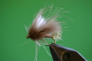 corn fed caddis pattern