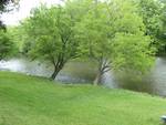 Downstream View of River from Stonesthrow Cabin