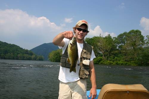 Falling for a baitfish !