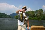 Falling for a baitfish !
