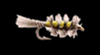 CK Nymph