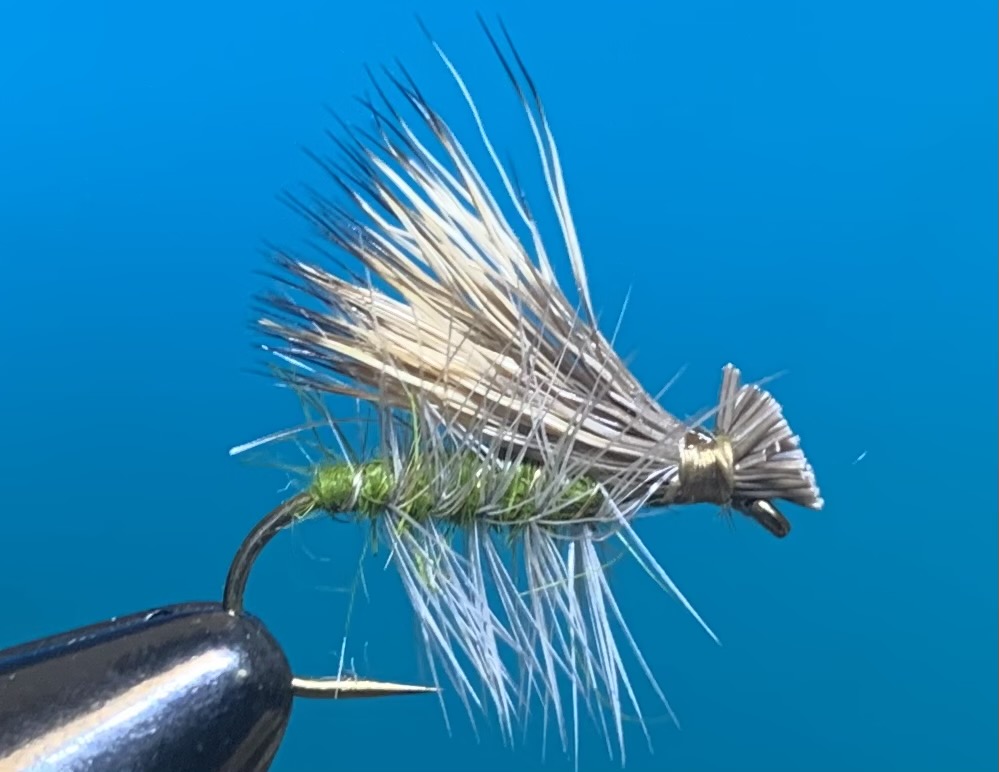 Elk Hair Caddis- 3 colors