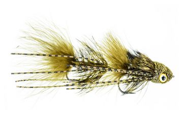 Galloup's Dungeon Olive #4