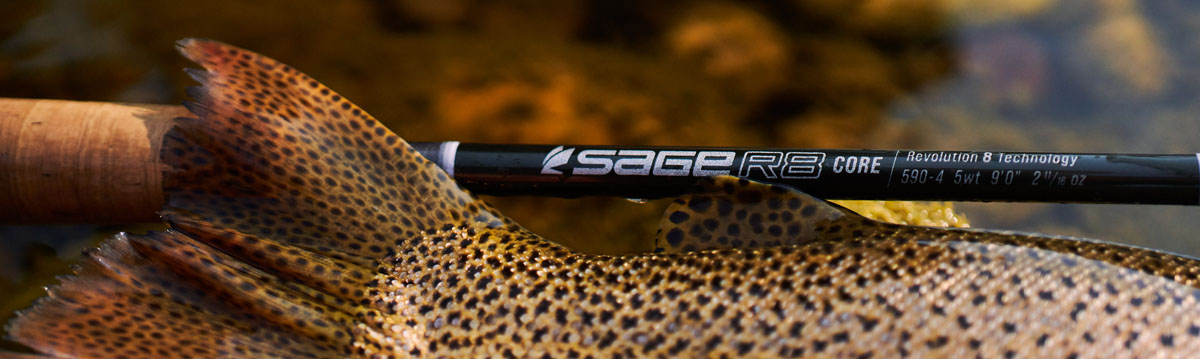 Sage Fly Rods  Angler's Lane Virginia Fly Fishing