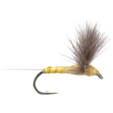 CDC Biot Comparadun - Sulphur