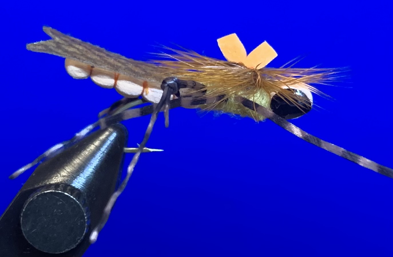 Dunnigan's Young Grasshoppa