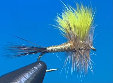 Mr. Rapidan Fly
