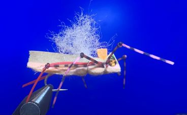 Pavlovich's Yellowstone Hopper