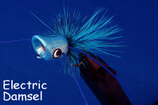 BoogleBug Boogle Popper