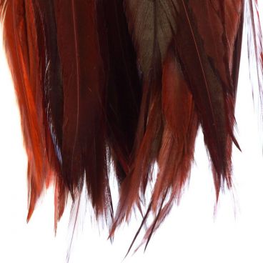 Strung Rooster Saddles Long