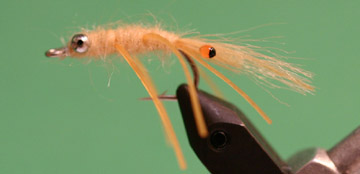 Howitts Cuban Shrip Cream #4 Howitts Cuban Shrip Cream #4