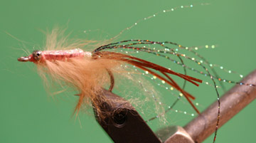 Skinny Shrimp Brown Skinny Shrimp Brown