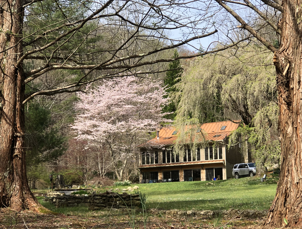 Rivenridge overnight with two days of fishing (April 25th-26th)