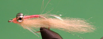 Gotcha Shallow Pink #6 Gotcha Shallow Pink #6