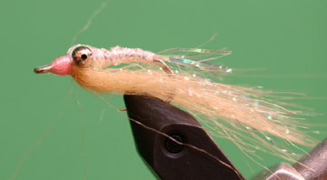 Bonefish Gotcha Deep 8 Bonefish Gotcha Deep 8