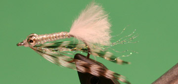 Big Bone Pearl #4 Big Bone Pearl #4