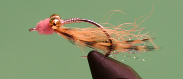 Exuma Puff Creek Pink #4 Exuma Puff Creek Pink #4