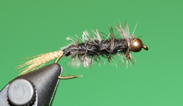 CK Nymph Beadhead CK Nymph Beadhead