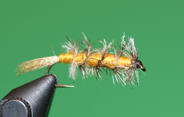 Chuck Kraft's CK Nymph Chuck Kraft's CK Nymph