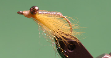 Crazy Charlie Shallow Yellow Crazy Charlie Shallow Yellow