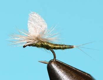 Extended Body BWO (Blue Winged Olive)