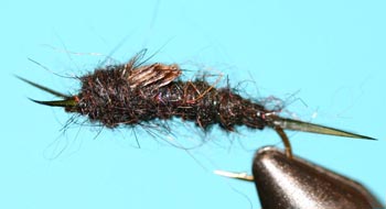 Buggy Stonefly