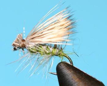 Elk Hair Caddis-Custom Olive/green Elk Hair Caddis-Custom Olive/green