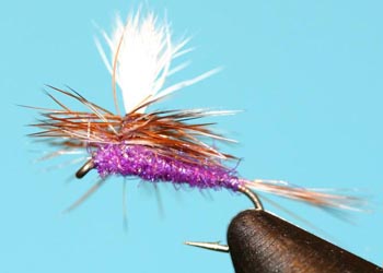 Purple Parachute Adams Sparkle Body (aka Purple Haze Sparkle Body)