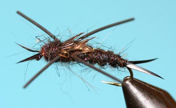 Beadhead Buggy Stonefly - Rubber Legs