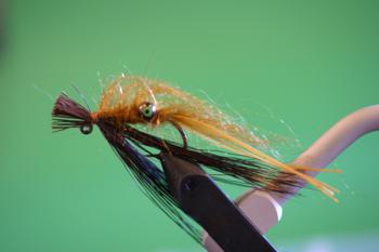 Romer's Semi Seal Crawdad #4 Romer's Semi Seal Crawdad #4